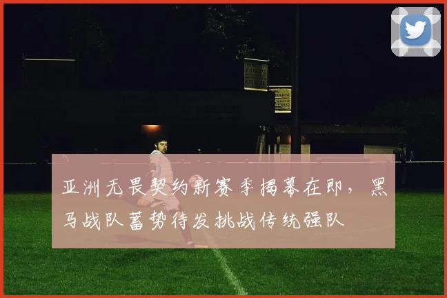 亚洲无畏契约新赛季揭幕在即，黑马战队蓄势待发挑战传统强队