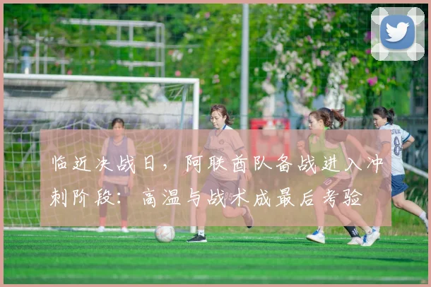 临近决战日，阿联酋队备战进入冲刺阶段：高温与战术成最后考验