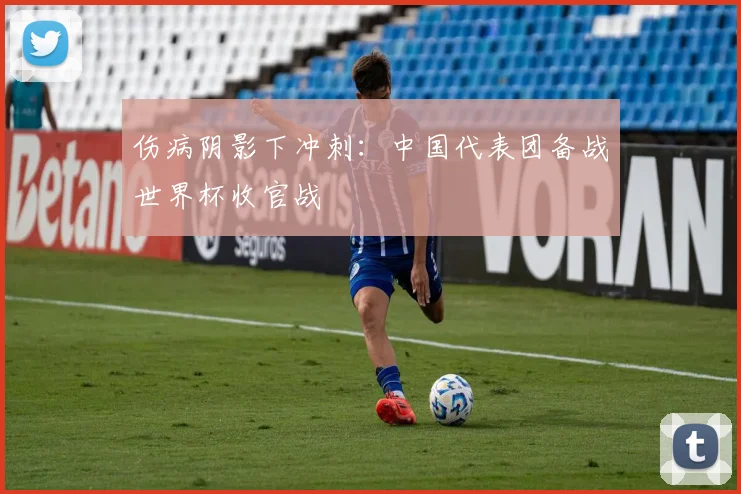 伤病阴影下冲刺：中国代表团备战世界杯收官战